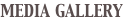 shapeimage_2_link_3